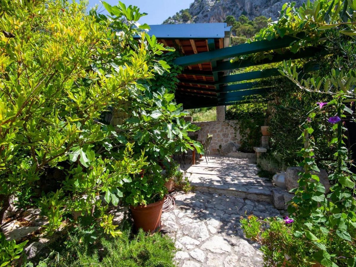 Luxurious Holiday Home In Makarska With Jacuzzi 外观 照片