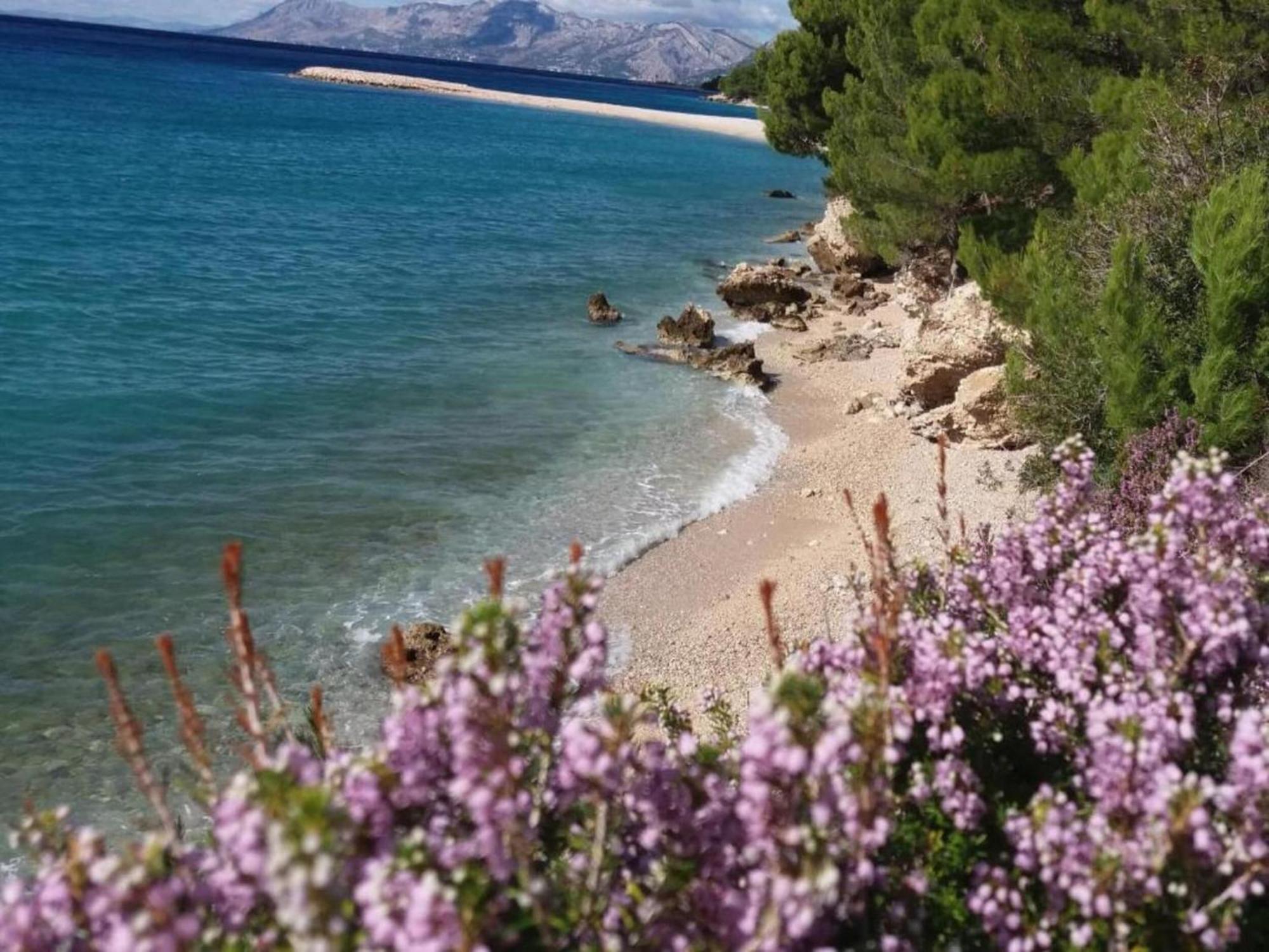 Luxurious Holiday Home In Makarska With Jacuzzi 外观 照片